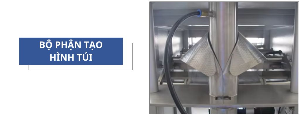 Bộ phận tạo hình túi