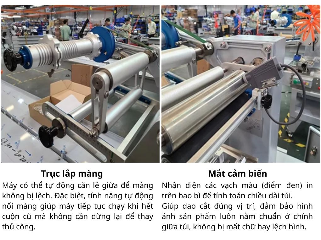 Chi tiết máy đóng gói bánh dừa OP Pack