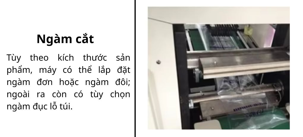 Bộ phận ngàm cắt 