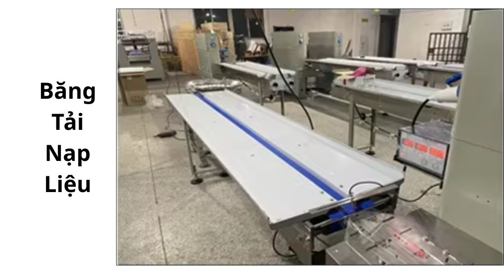 Băng tải nạp liệu máy đóng gói bánh thuyền