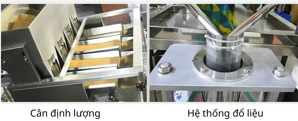 Cân định lượng và hệ thống cấp liệu