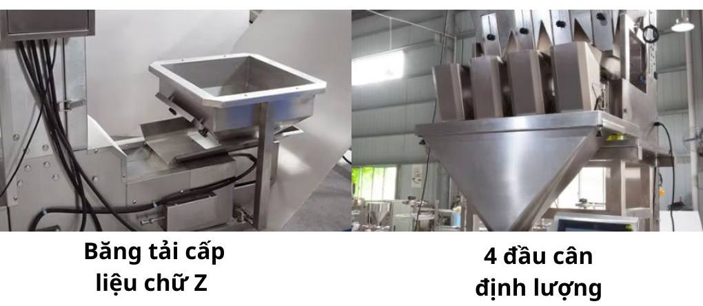 Băng tải cấp liệu chữ Z và hệ thống định lượng 4 đầu cân