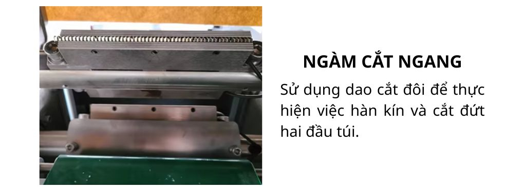 Ngàm cắt đôi chuyên dụng và bền bỉ