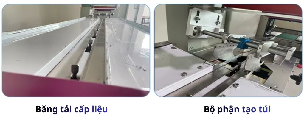 Băng tải cấp liệu và bộ phận tạo túi