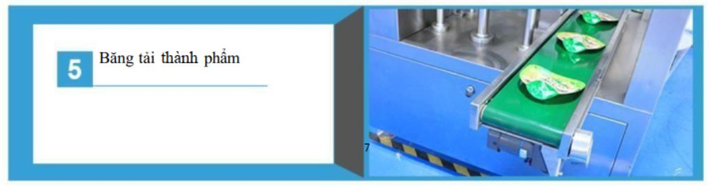 Băng tải thành phẩm sau đóng gói