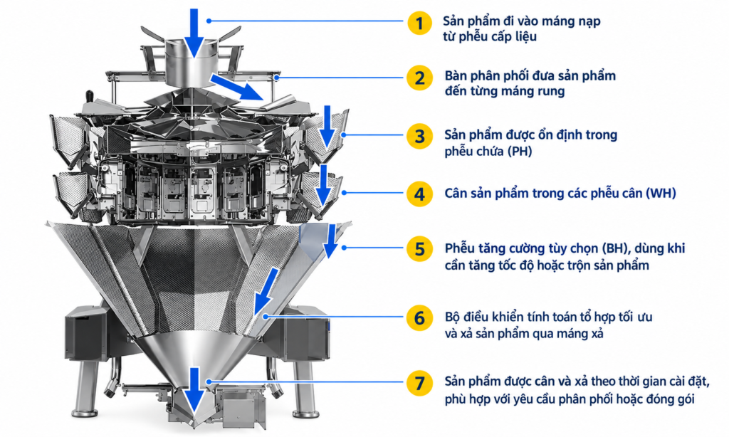 Cấu tạo cân đa đầu